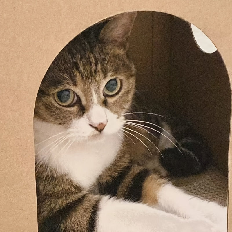 1pc Carton Cat Nest, Cat Scratching Board Cat Nest, Cat House, All- Season Closed Cat House, Wear- Resistant, Anti- Shedding, Anti- Scratch, Liberate Nature and Protect Sofa, Protect Furniture