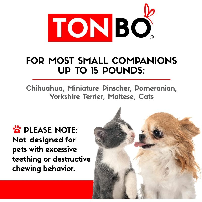 Soft Plush Small Cute and Cozy Food Dog Cat Bed | Washer and Dryer Friendly, Transparent, Polyvinyl Chloride Material