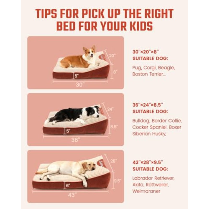 Large Dog Beds - Cozy Flat Pet Beds Featuring a Removable And Washable Cover, Orthopedic Foam Puppy Mat with Pillow, Ideal for Pets Weighing Up to 65 Lbs, Dimensions: 36''×24''×5''