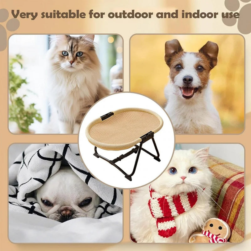 Elevated Pet Bed for Cats& Small Dogs, Foldable Raised Cat Cot with Washable Plush& Mesh Fabric, All-Season Breathable Pet Hammock Bed, Moisture-Proof Pet Sofa with Stable Metal Frame, 2 Colors Available