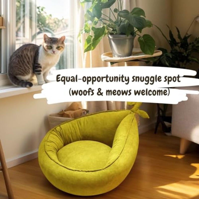Round Dog Bed Small - Cute Avocado Design Plush Pet Bed for Small Dogs and Puppies | Material, Mixed Color, No Filler