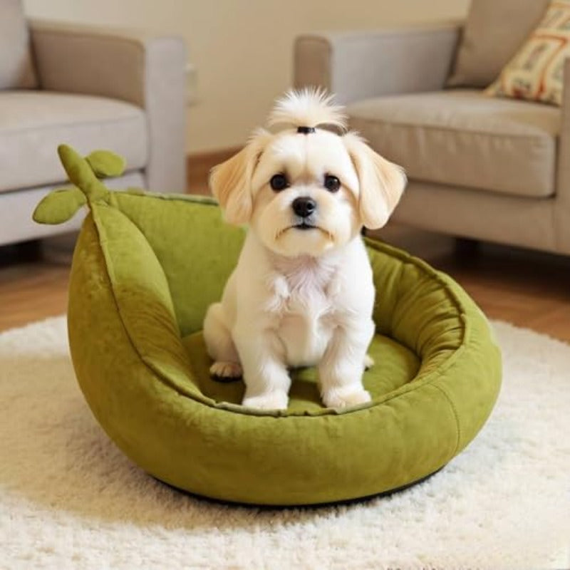 Round Dog Bed Small - Cute Avocado Design Plush Pet Bed for Small Dogs and Puppies | Material, Mixed Color, No Filler