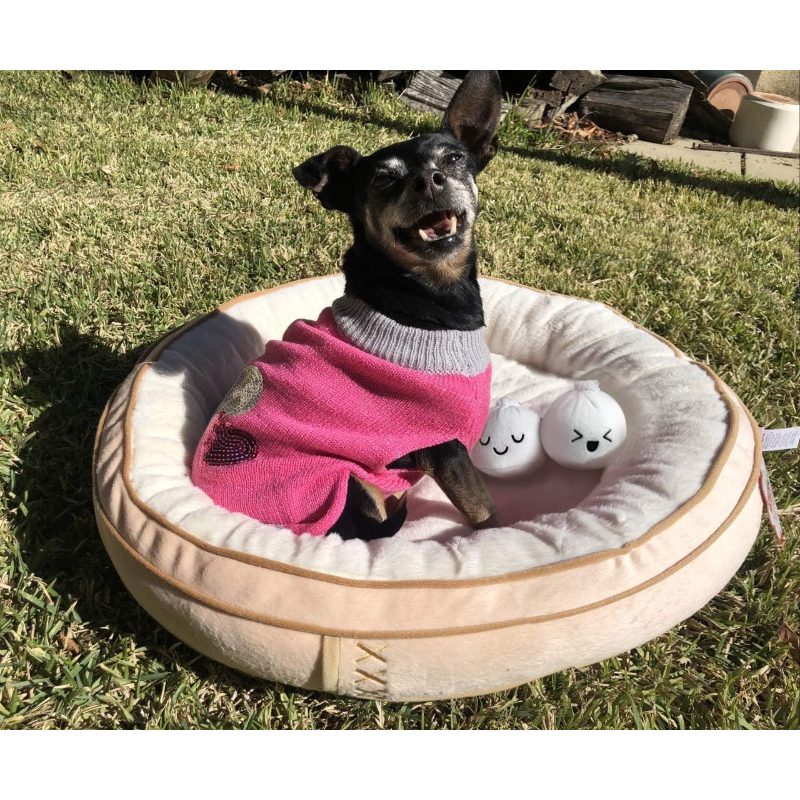 Soft Plush Small Cute and Cozy Food Dog Cat Bed | Washer and Dryer Friendly, Transparent, Polyvinyl Chloride Material