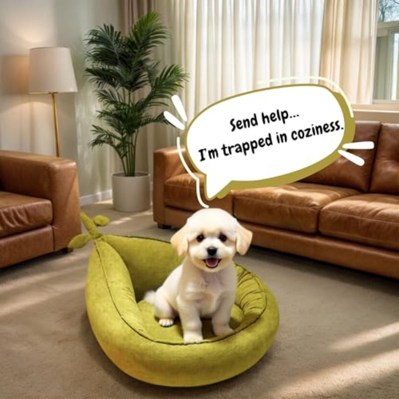 Round Dog Bed Small - Cute Avocado Design Plush Pet Bed for Small Dogs and Puppies | Material, Mixed Color, No Filler